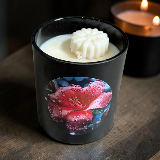 Lily & Hibiscus
