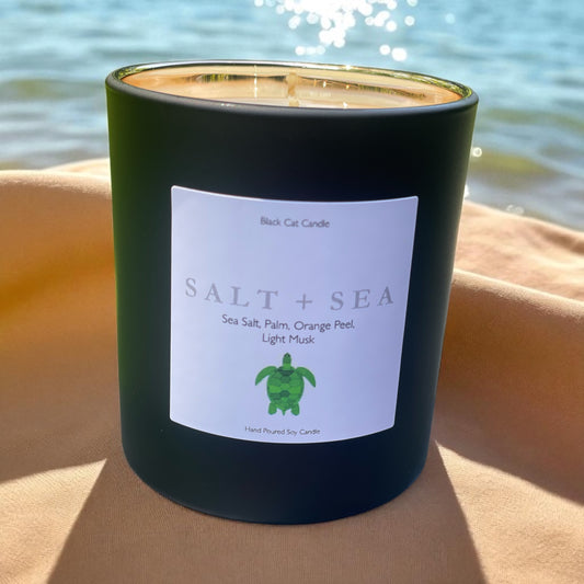 SALT + SEA 🐢